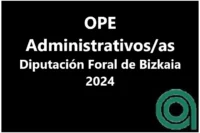 Administrativo-a de la Diputación de Bizkaia